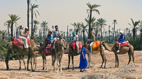 How Do They Find Flamingo Roadkill? (2011) - Episode 8 poster and promotional image