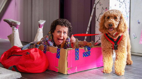 Waffle the Wonder Dog Сезон 3