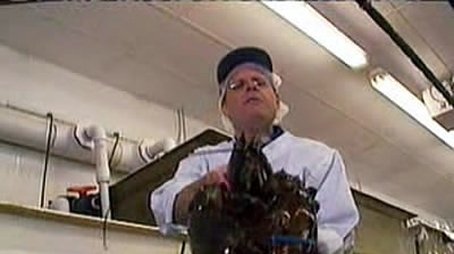 Crustacean Nation II: Claws (2001) - Episode 4 poster and promotional image