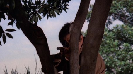 Babe in the Woods (1972) - Episode 16 poster and promotional image