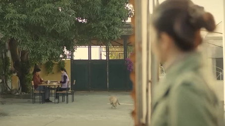 Gia đình mình vui bất thình lình Сезон 1