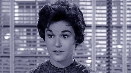 Beaver's Tree (1959) - Episode 8 poster and promotional image