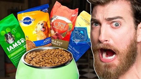 What's The Best Dog Food? Taste Test (2019) - Episode 44 poster and promotional image
