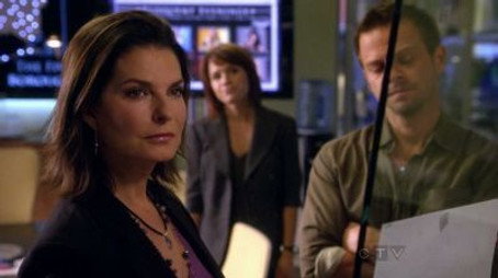 CSI: NY Sezona 7
