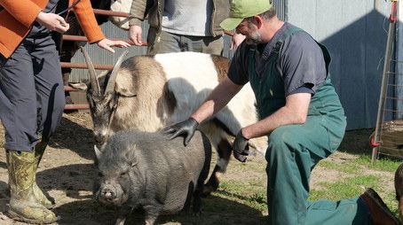 A Moo York States of Mind (2022) - Episode 6 poster and promotional image