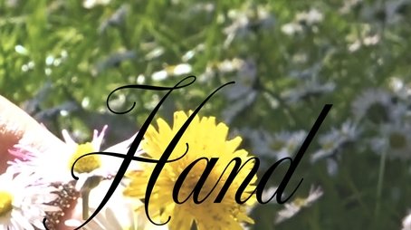 Hand Picked (2025) movie poster - Click for spoilers and plot summary