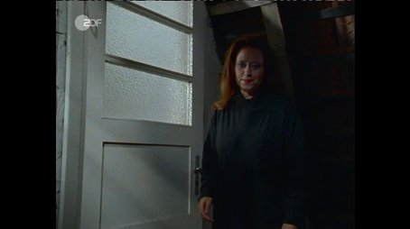Stubbe und das Kind (1996) - Episode 7 poster and promotional image