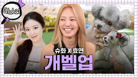 감별사 Sezóna 3
