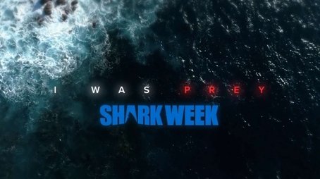 Great White Kill Zone: Guadalupe (None) - Episode 16 poster and promotional image