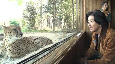 I love animals! Captain Takuya, go to the zoo! (2019) - Episode 29 poster and promotional image