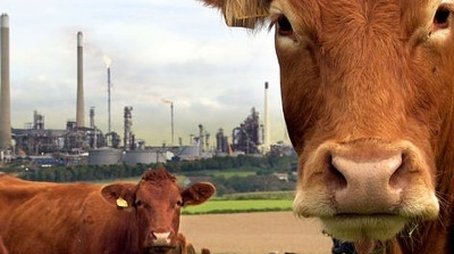 A Farm for the Future (2009) - Episode 14 poster and promotional image
