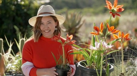 Episode 4 Summer: Green walls and a GA crew's garden (2024) - Episode 4 poster and promotional image