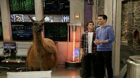 Llama Drama (2013) - Episode 19 poster and promotional image