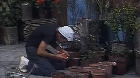 Chaves69