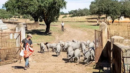 Abenteuer Spanien Сезон 1