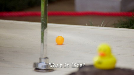 Taskmaster Australia Sezona 4