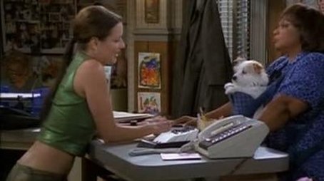Auf den Hund gekommen