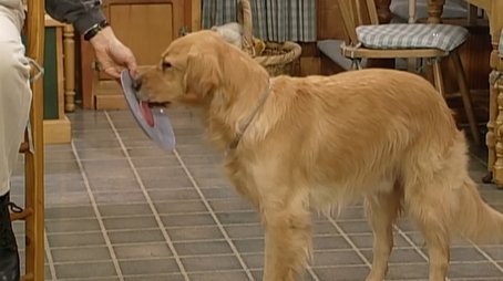 Please Don't Touch the Dinosaur (1993) - Episode 18 poster and promotional image