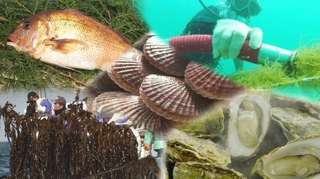 Sustainable Marine Products (2021) - Episode 7 poster and promotional image