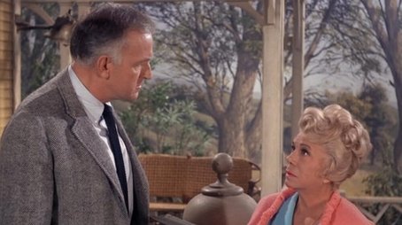Kate Sells the Hotel (1966) - Episode 28 poster and promotional image