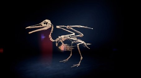 Dino Birds (2025) - Episode 3 poster and promotional image