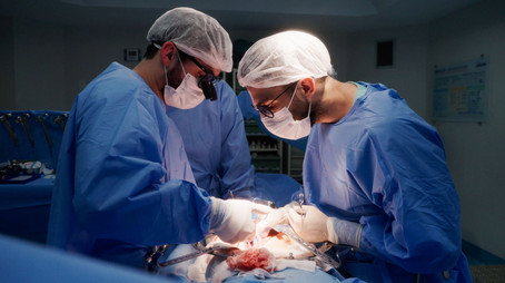 Operação Transplante Сезон 1