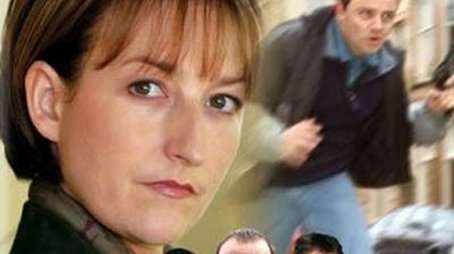 Series 22 (2005) - Season 22 poster and promotional image