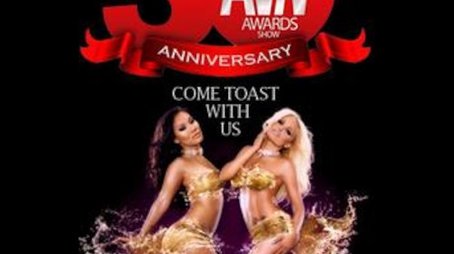 30th AVN Awards (2013) - Season 30 poster and promotional image