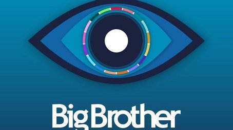 Big Brother (2000) poster