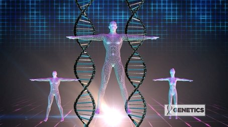 Genetics: The Secret to a Perfect Body (2014) - Episode 33 poster and promotional image