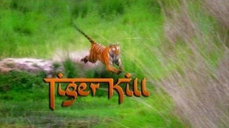Tiger Kill (2008) - Episode 4 poster and promotional image
