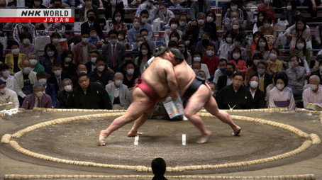 GRAND SUMO Highlights Сезон 11