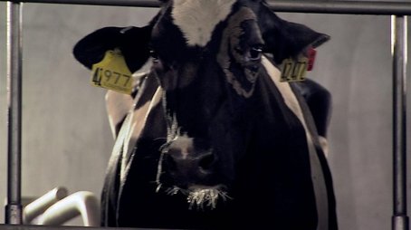 Milk (2008) - Episode 1 poster and promotional image