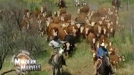 Cattle Ranches (2001) - Episode 23 poster and promotional image