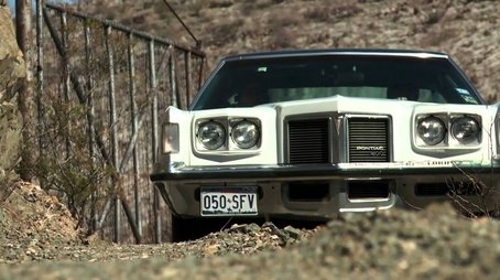 Roadkill11