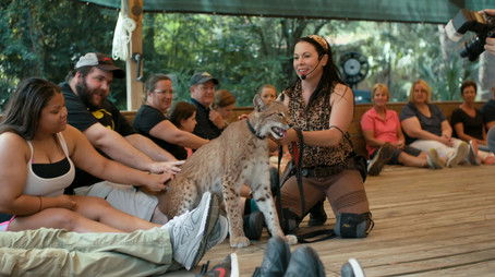 Cult of Personality (2020) - Episode 2 poster and promotional image