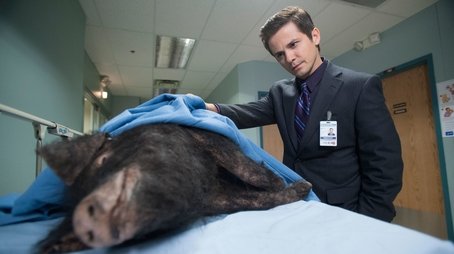 Hog Wild (2014) - Episode 3 poster and promotional image