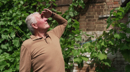 Nice to See You Again! (2024) - Episode 15 poster and promotional image