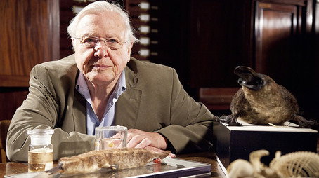 David Attenborough's Natural Curiosities Сезон 1