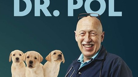 Season 15 (2019) - Season 15 poster and promotional image