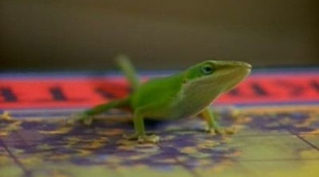 The Big Quiet (1994) - Episode 4 poster and promotional image