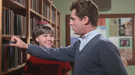 Gidget Sezona 1