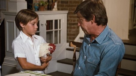 The Kinfolk (1979) - Episode 2 poster and promotional image