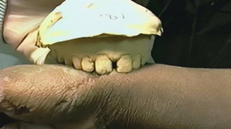 The Evidence: Indeed and Without Doubt (2020) - Episode 1 poster and promotional image