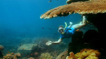Reef Doctors Sezona 1