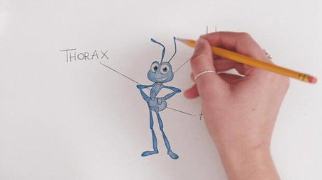 How Not to Draw Сезон 2