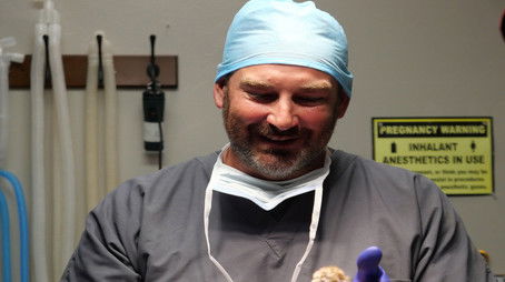 You've Gotta Be Kitten Me! (2021) - Episode 2 poster and promotional image