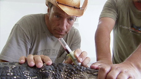 Dirty Jobs Сезон 3