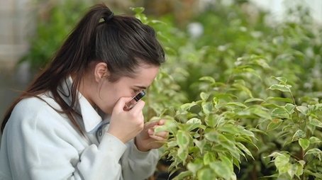 Episode 34 Natives; Pruning; Aquatic; Spring; Bee Hotel (2023) - Episode 34 poster and promotional image
