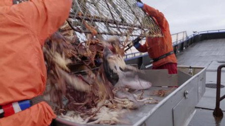 Deadliest Catch Σεζόν 21